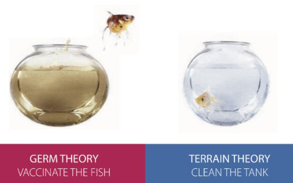 Germ Theory vs Terrain Theory