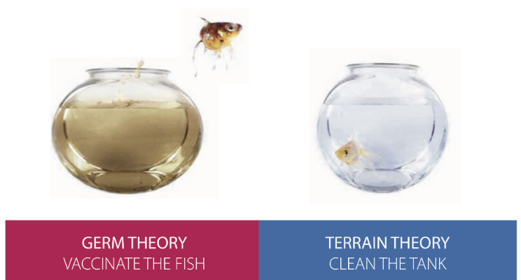 Germ Theory vs Terrain Theory